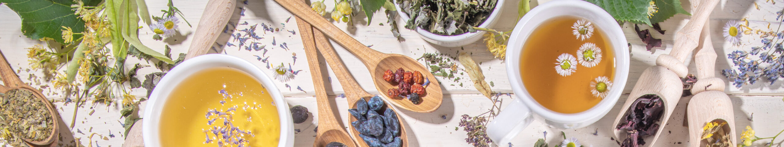 Herbalsalon Ange